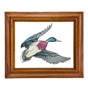 Vintage Colorful Mallard Duck In Flight Original Etched Marble Art Framed Signed
